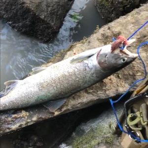 Meet your Posher, Ben